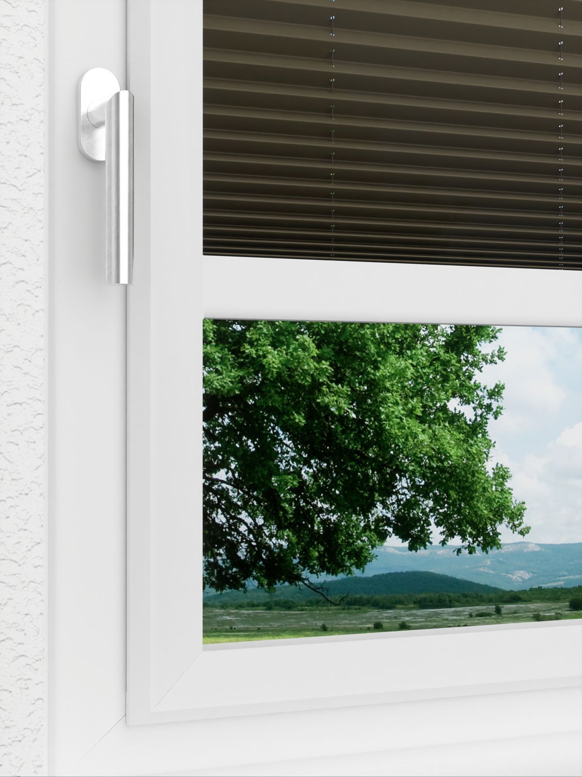 Detailansicht LYSEL HOME Plissé 236A Aralia