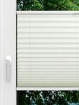 LYSEL HOME Plissé 132A Aralia Fensteransicht