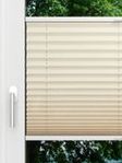 LYSEL HOME Plissé 133A Aralia Fensteransicht