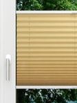 LYSEL HOME Plissé 225A Aralia Fensteransicht