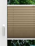 LYSEL HOME Plissé 234A Aralia Fensteransicht