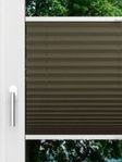 LYSEL HOME Plissé 236A Aralia Fensteransicht