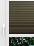 LYSEL HOME Plissé 236A Aralia Fensteransicht