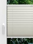 LYSEL HOME Plissé 228A Aralia BO Fensteransicht
