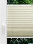 LYSEL HOME Plissé 126A Erinus Fensteransicht