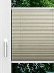 LYSEL HOME Plissé 129A Erinus Fensteransicht