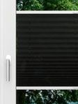 LYSEL HOME Plissé 130A Erinus Fensteransicht