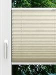 LYSEL HOME Plissé 231A Arum Fensteransicht