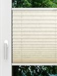 LYSEL HOME Plissé 227A Arum Fensteransicht
