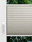LYSEL HOME Plissé 224A Betula BO Fensteransicht
