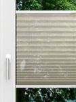 LYSEL HOME Plissé 110A Nero Fensteransicht
