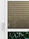 LYSEL HOME Plissé 111A Nero Fensteransicht
