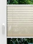 LYSEL HOME Plissé 226A Calluna Fensteransicht