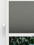 LYSEL HOME Plissé 002A nid d'abeille Fensteransicht