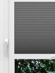 LYSEL HOME Plissé nid d'ab. 007A Alba LI Fensteransicht