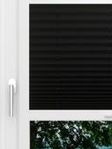 LYSEL HOME Plissé 238B Aralia BO Fensteransicht