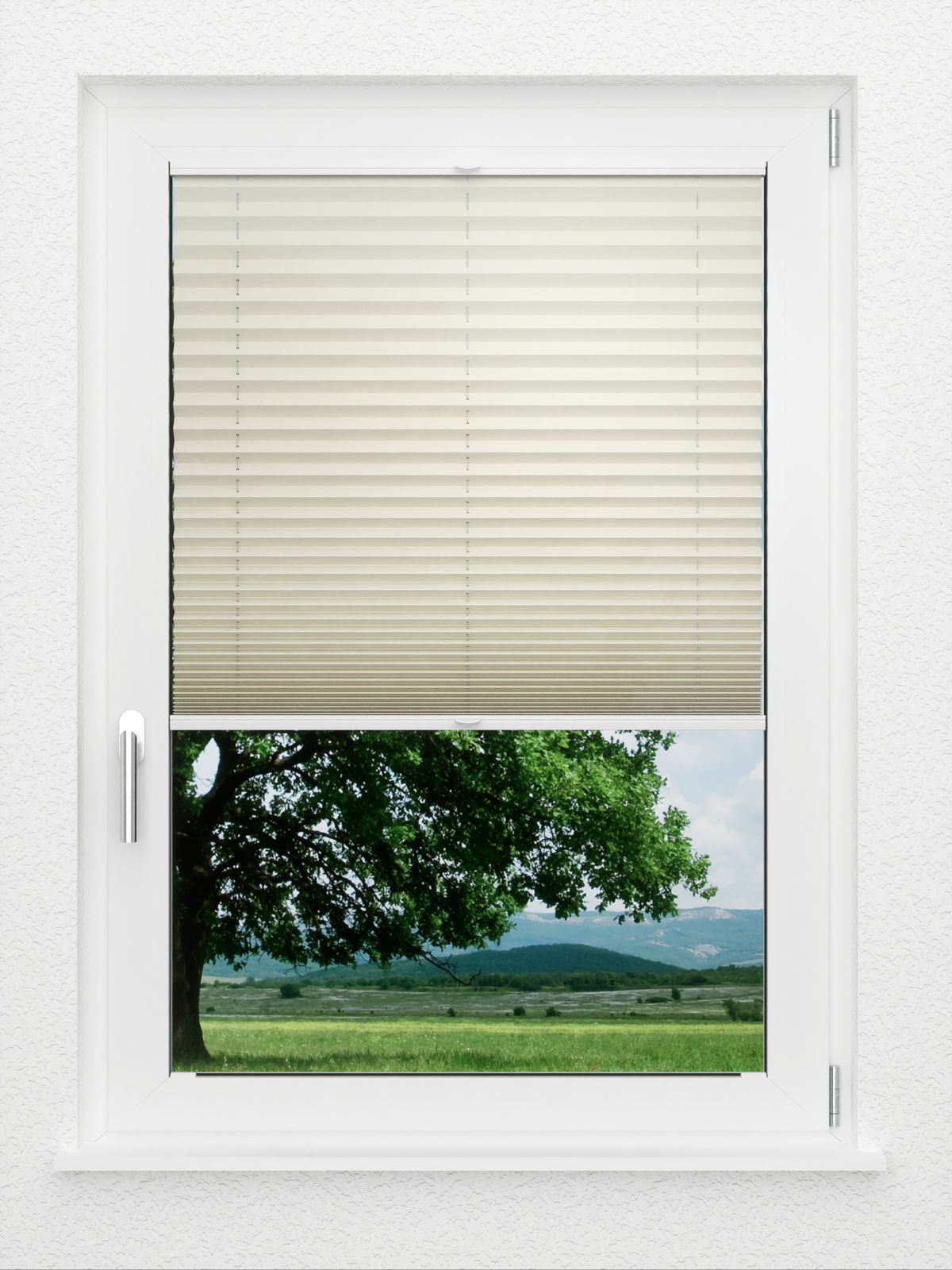 Detailansicht LYSEL HOME Plissé 125A Aralia