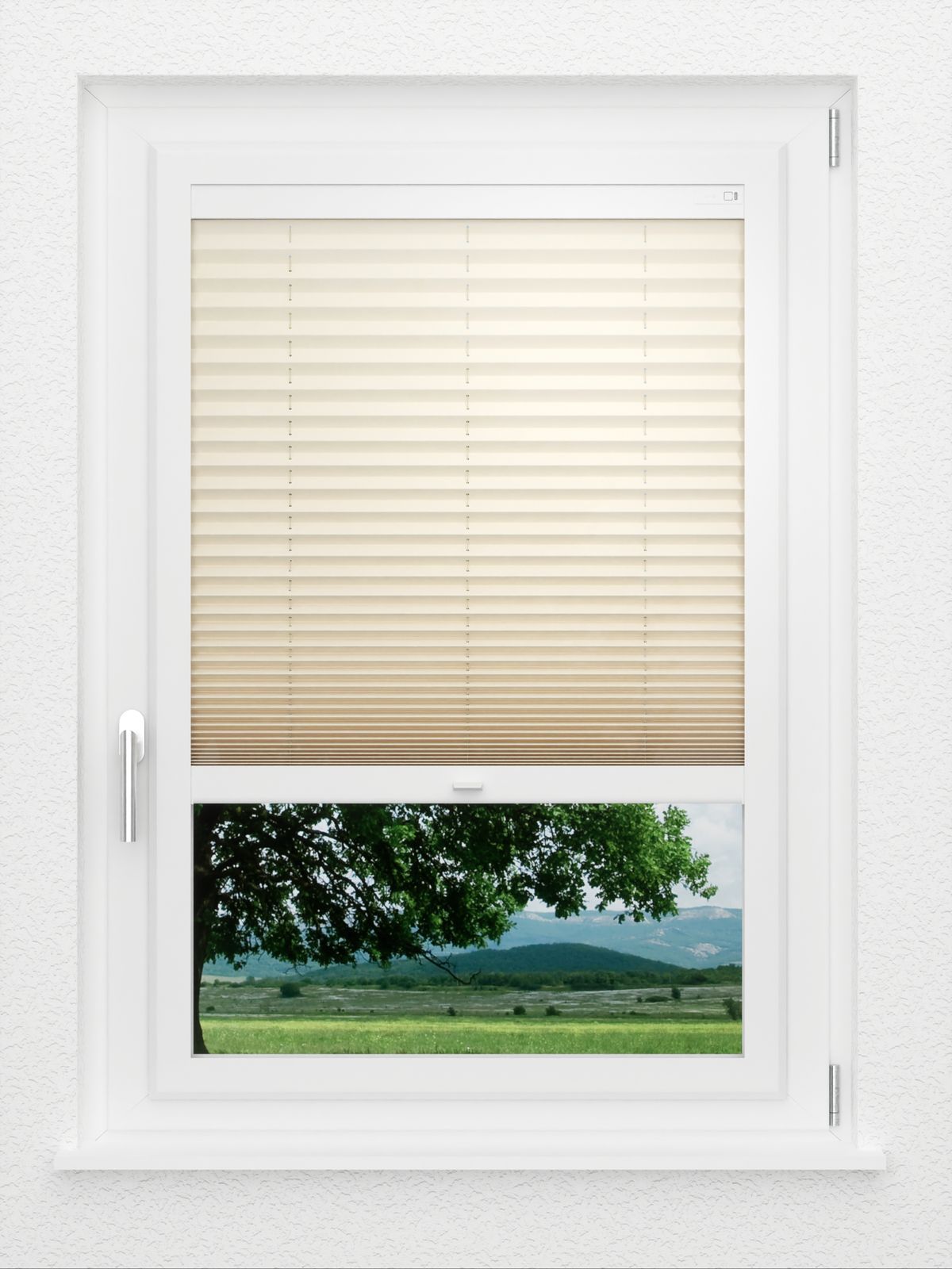 Detailansicht LYSEL HOME Plissé 133A Aralia