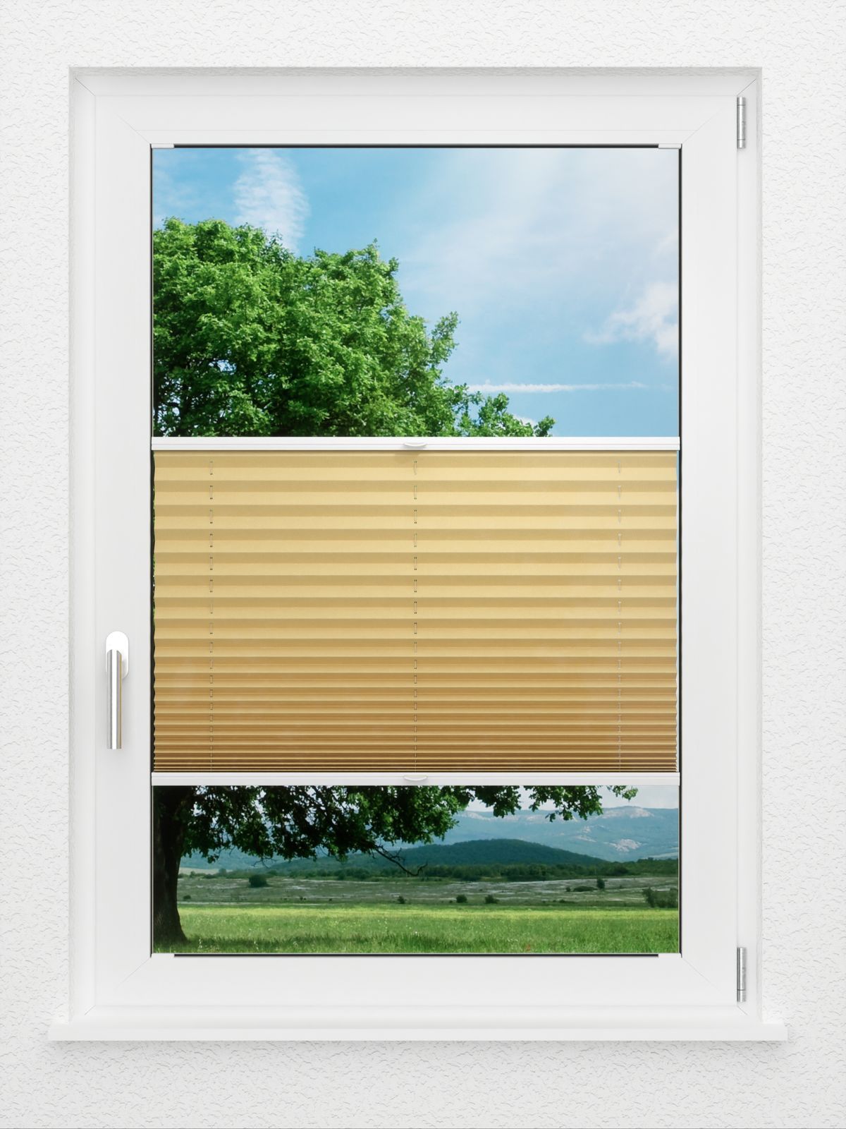 Detailansicht LYSEL HOME Plissé 225A Aralia