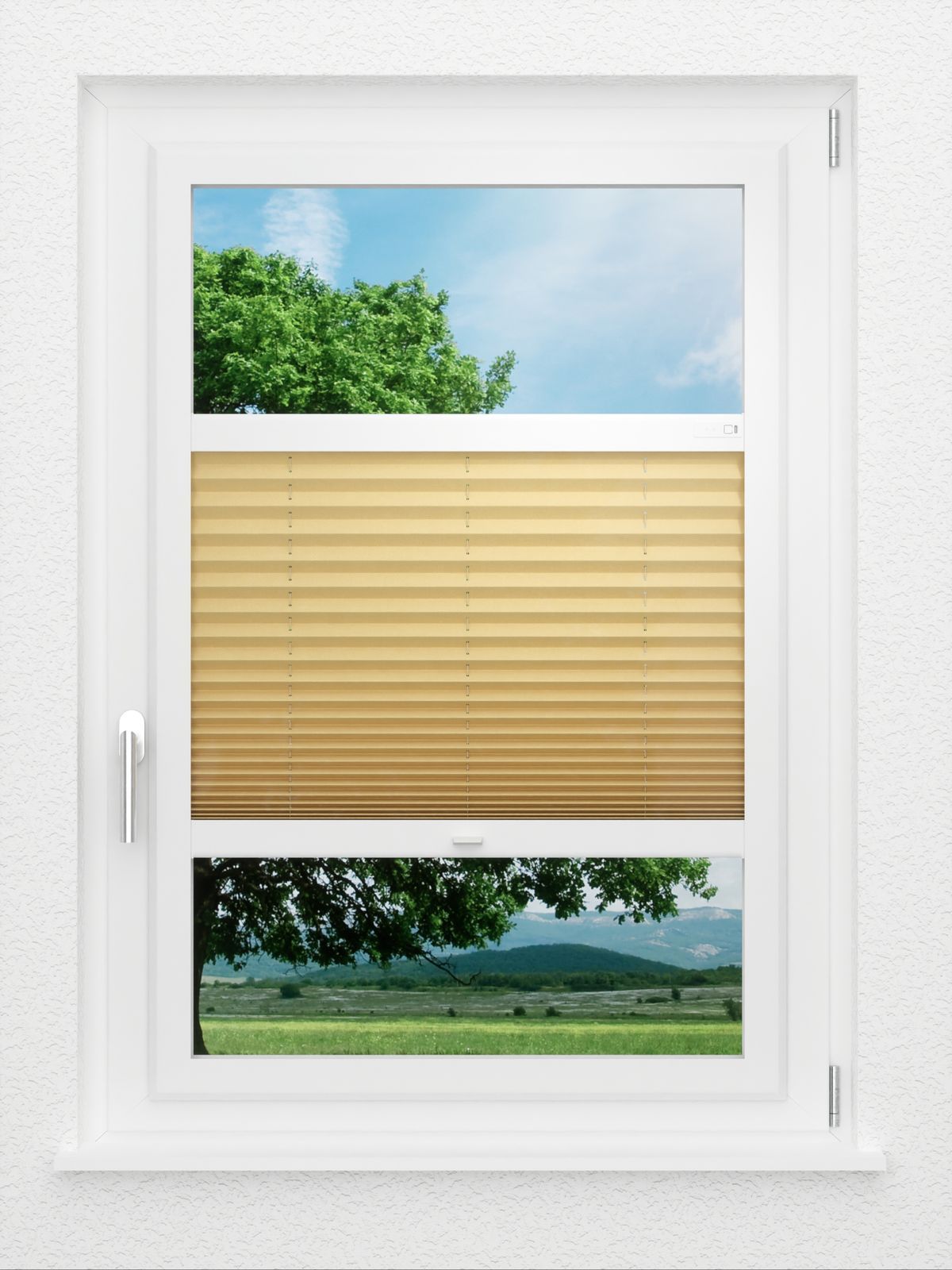 Detailansicht LYSEL HOME Plissé 225A Aralia