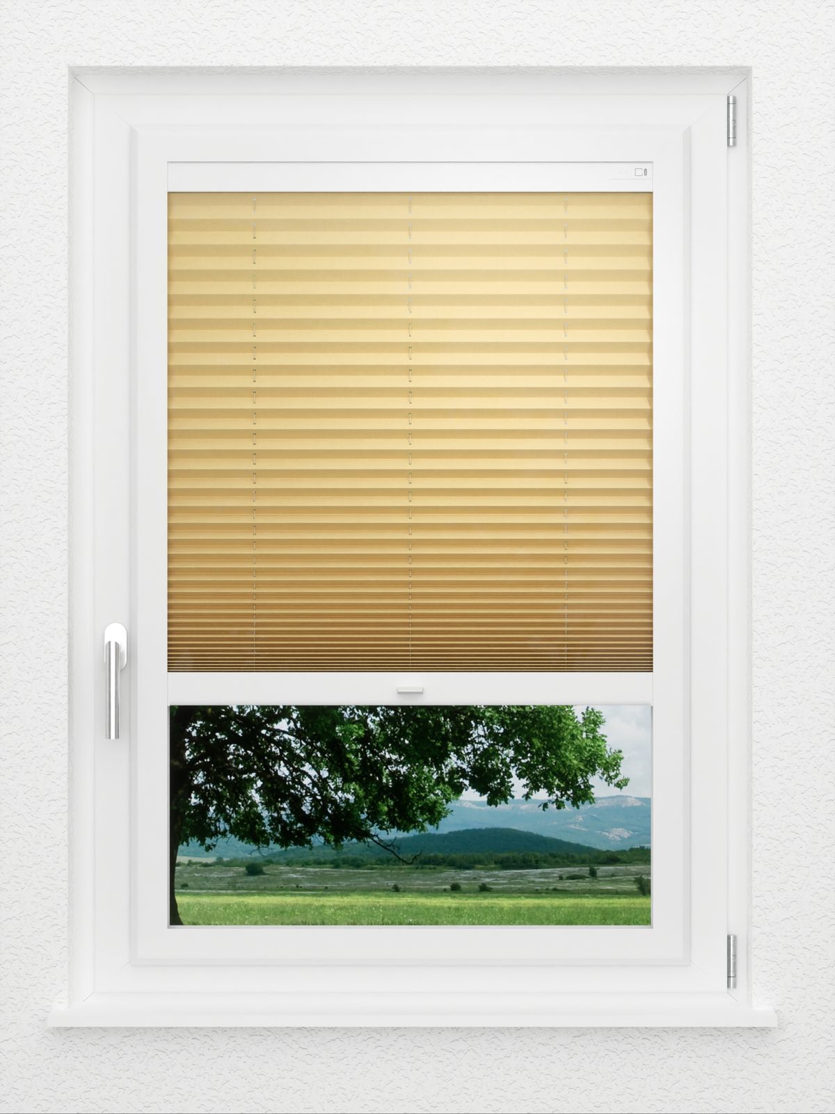 Detailansicht LYSEL HOME Plissé 225A Aralia