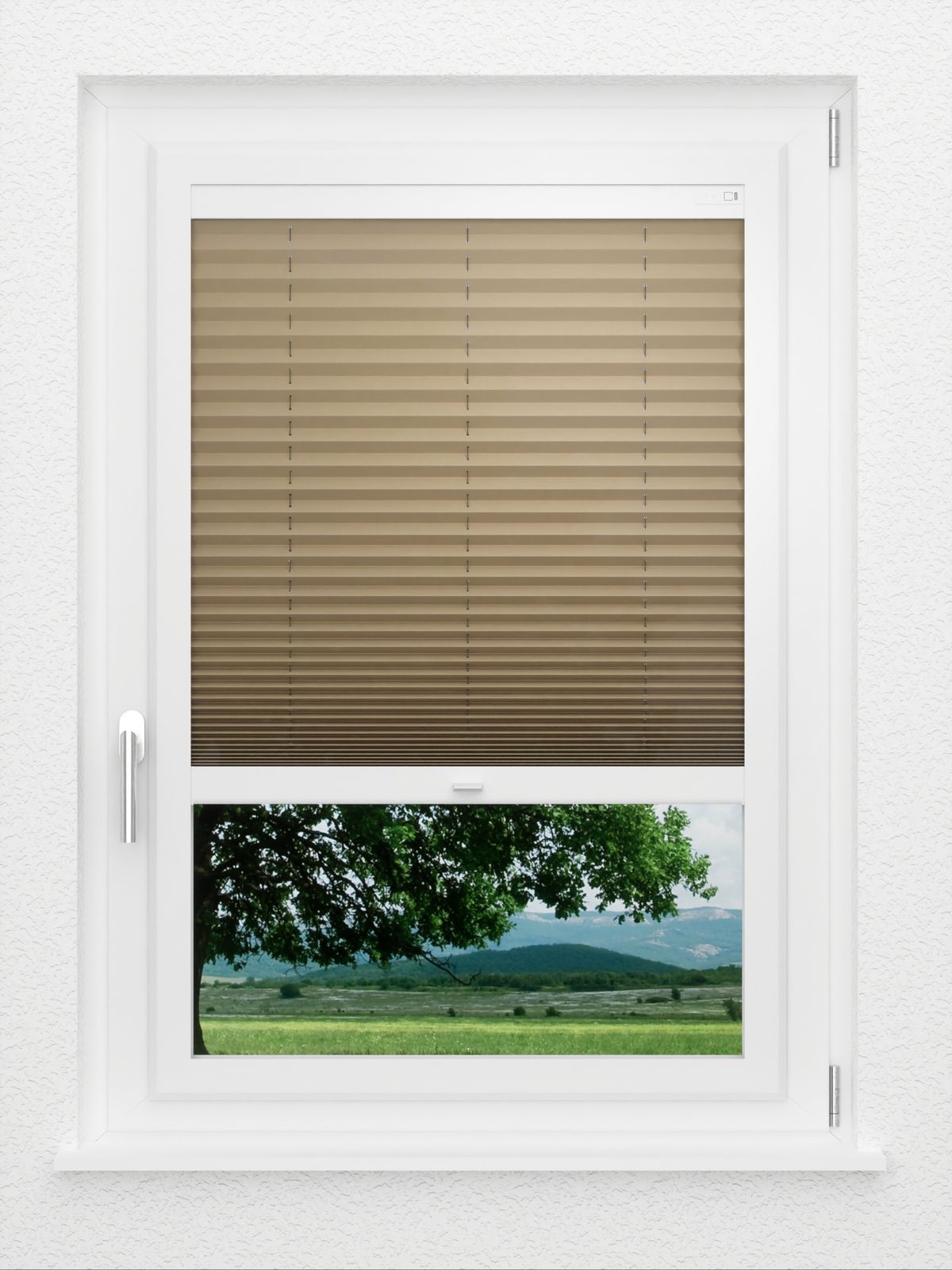 Detailansicht LYSEL HOME Plissé 234A Aralia