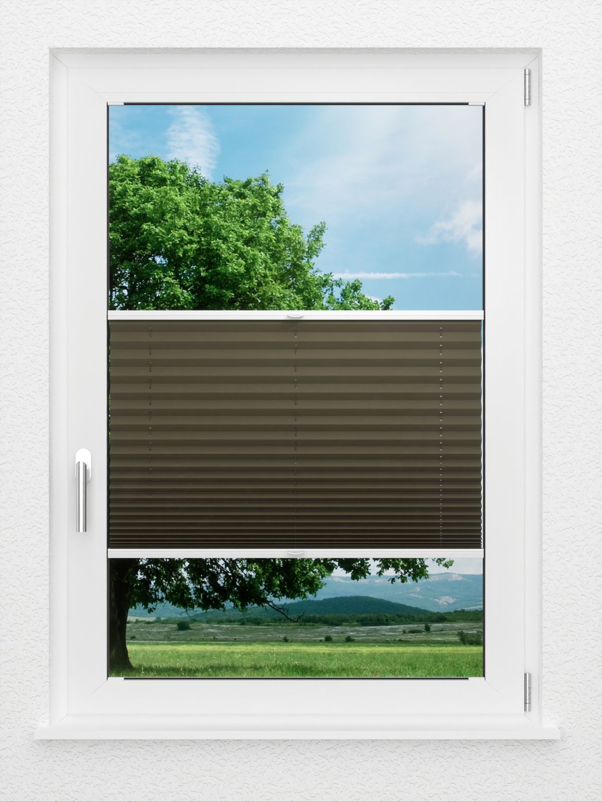 Detailansicht LYSEL HOME Plissé 236A Aralia