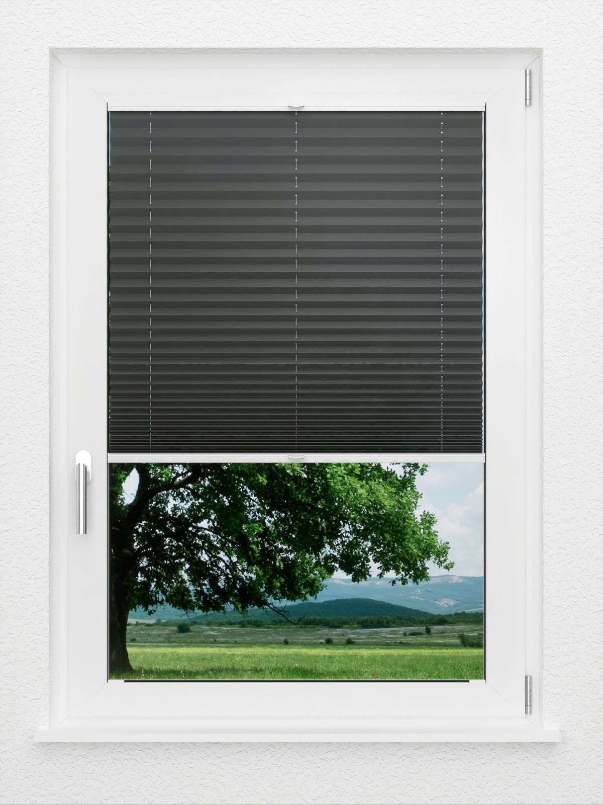 Detailansicht LYSEL HOME Plissé 137A Aralia