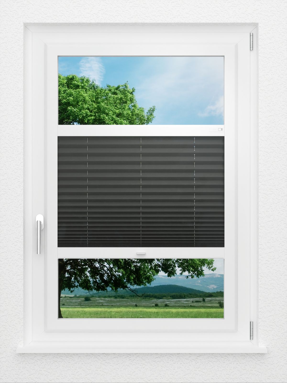 Detailansicht LYSEL HOME Plissé 137A Aralia