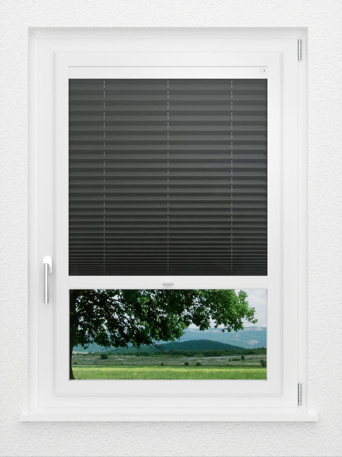 Detailansicht LYSEL HOME Plissé 137A Aralia