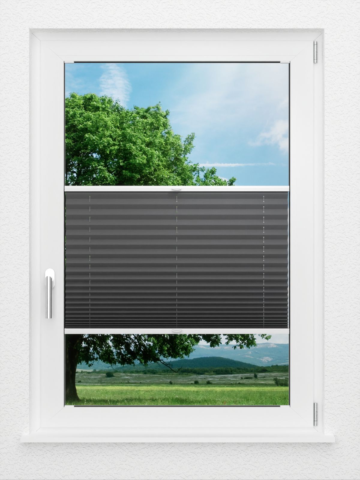 Detailansicht LYSEL HOME Plissé 233A Aralia