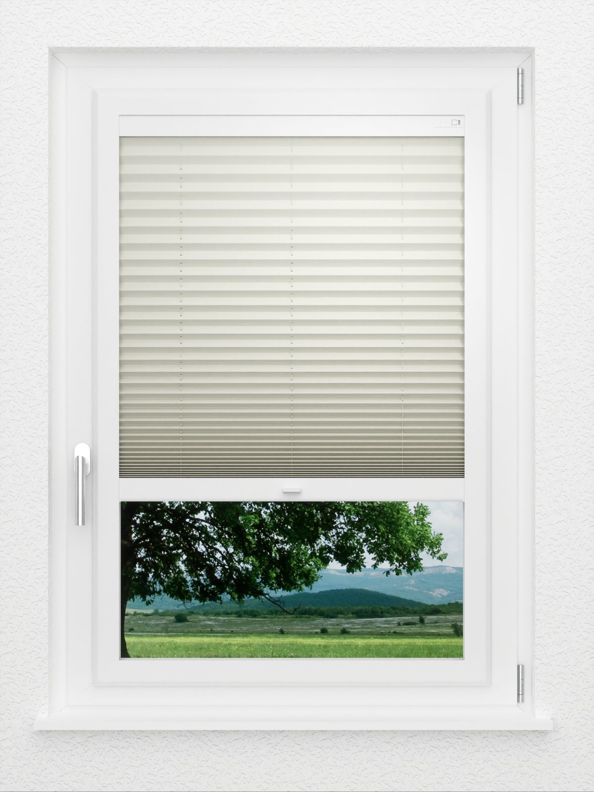 Detailansicht LYSEL HOME Plissé 228A Aralia BO
