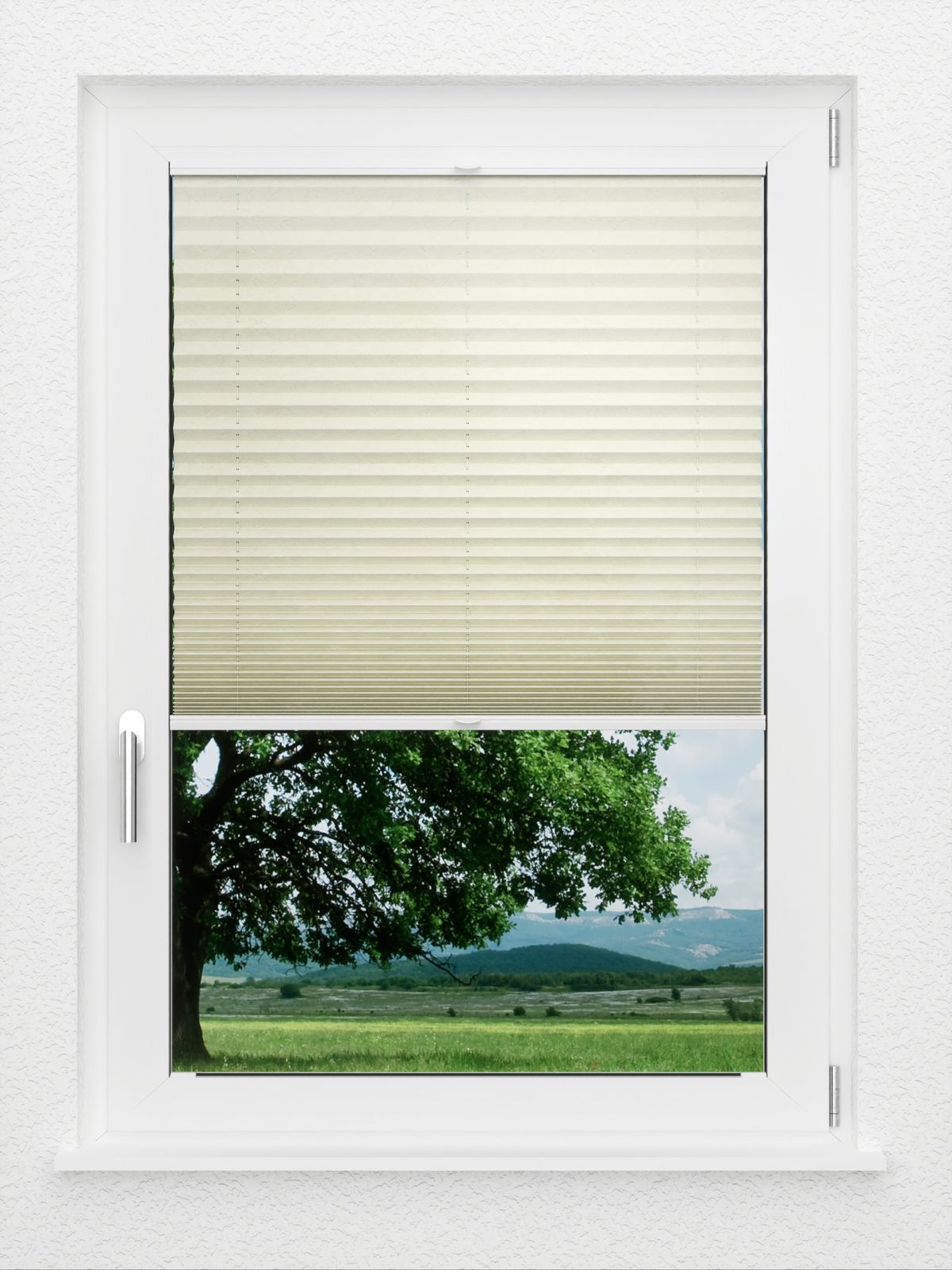 Detailansicht LYSEL HOME Plissé 126A Erinus