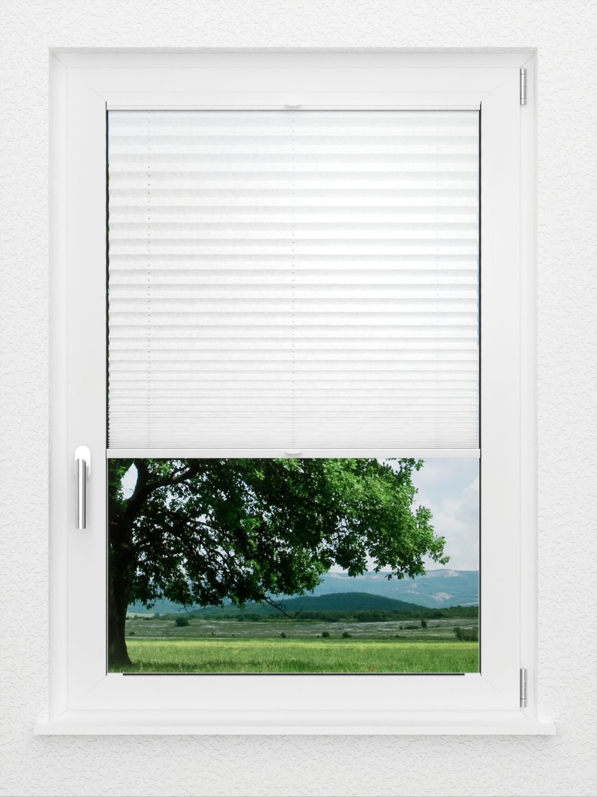 Detailansicht LYSEL HOME Plissé 204A Loso