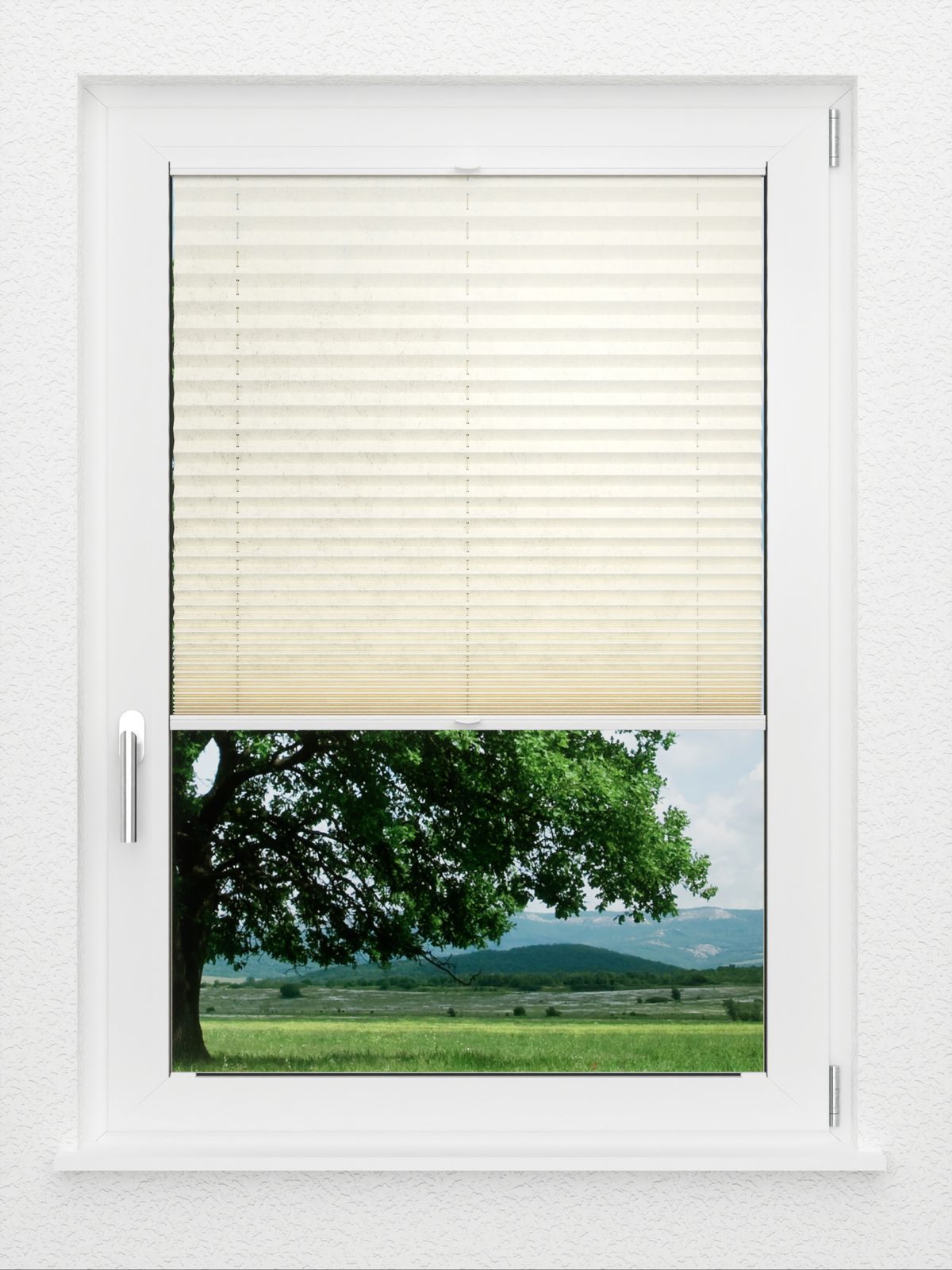 Detailansicht LYSEL HOME Plissé 227A Arum