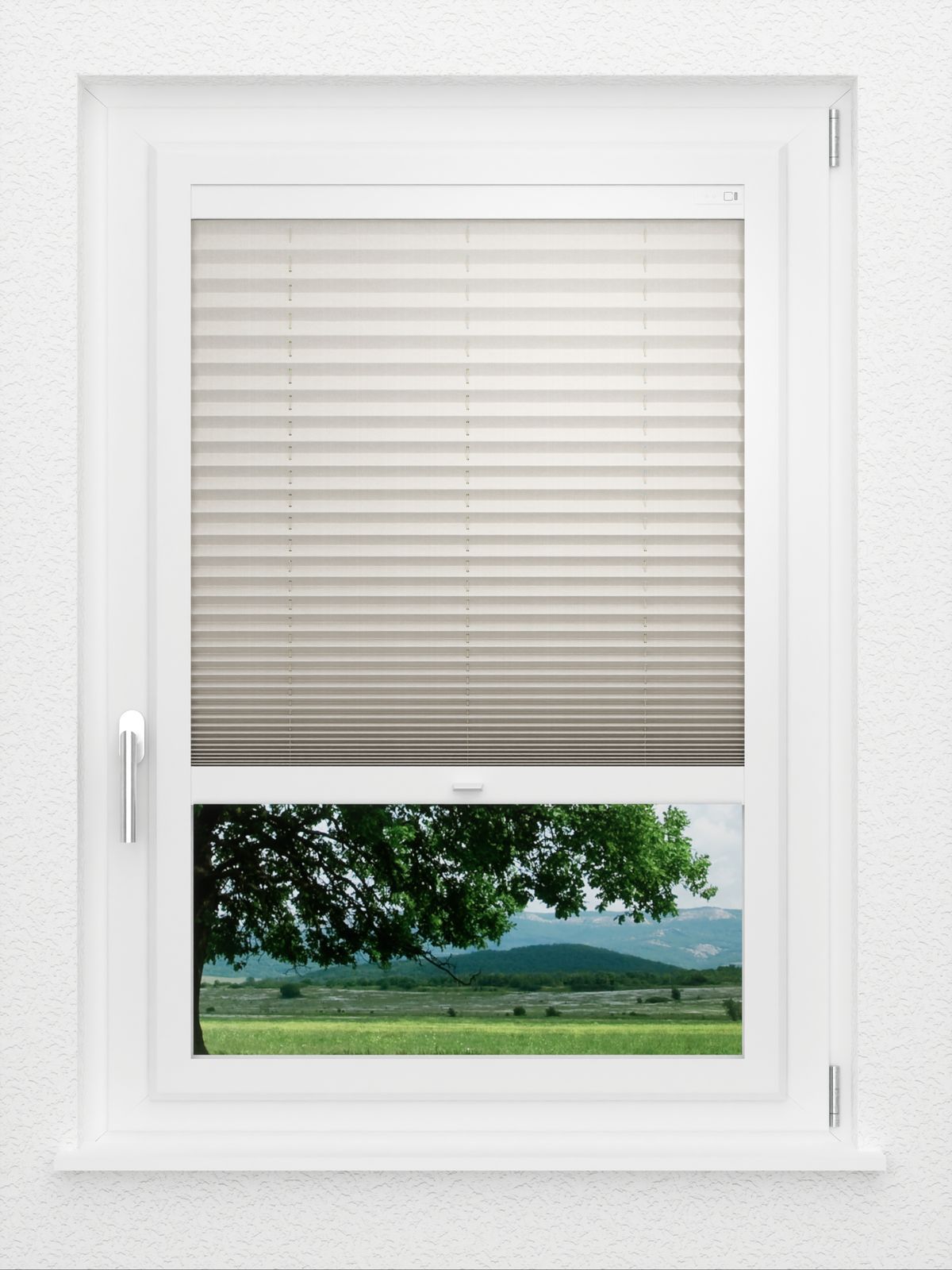 Detailansicht LYSEL HOME Plissé 213A Torpo BO