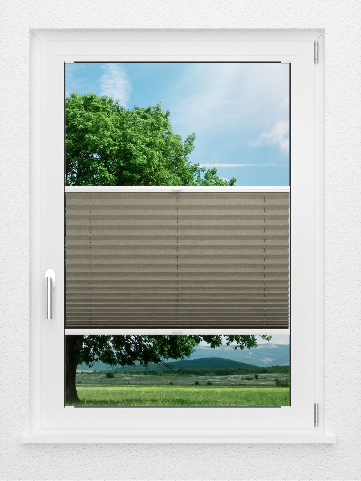 Detailansicht LYSEL HOME Plissé 134A Betula BO