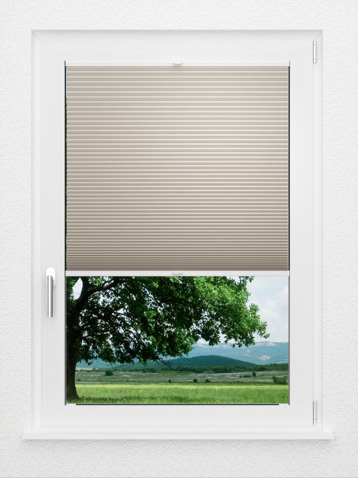 Detailansicht LYSEL HOME Plissee 012A Nana BO Wabe