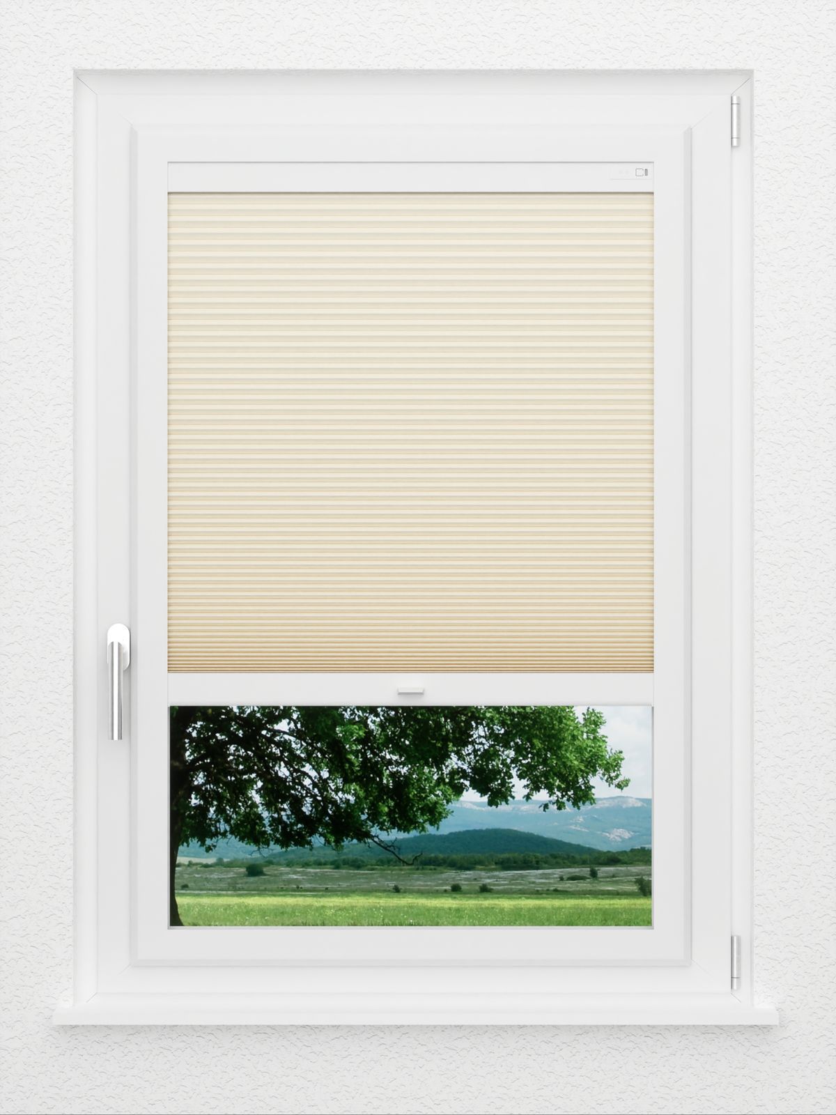 Detailansicht LYSEL HOME Plissé nid d'ab. 013A Alba LI
