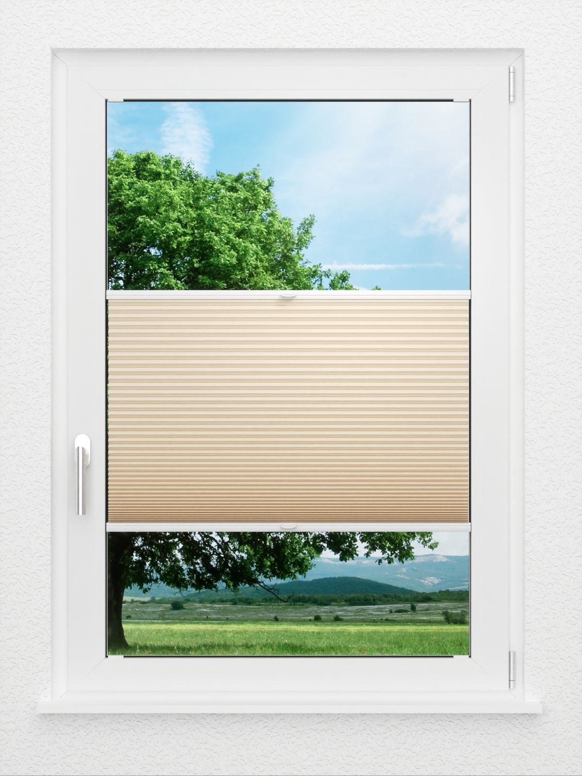 Detailansicht LYSEL HOME Plissee 035A Alba LI Wabe
