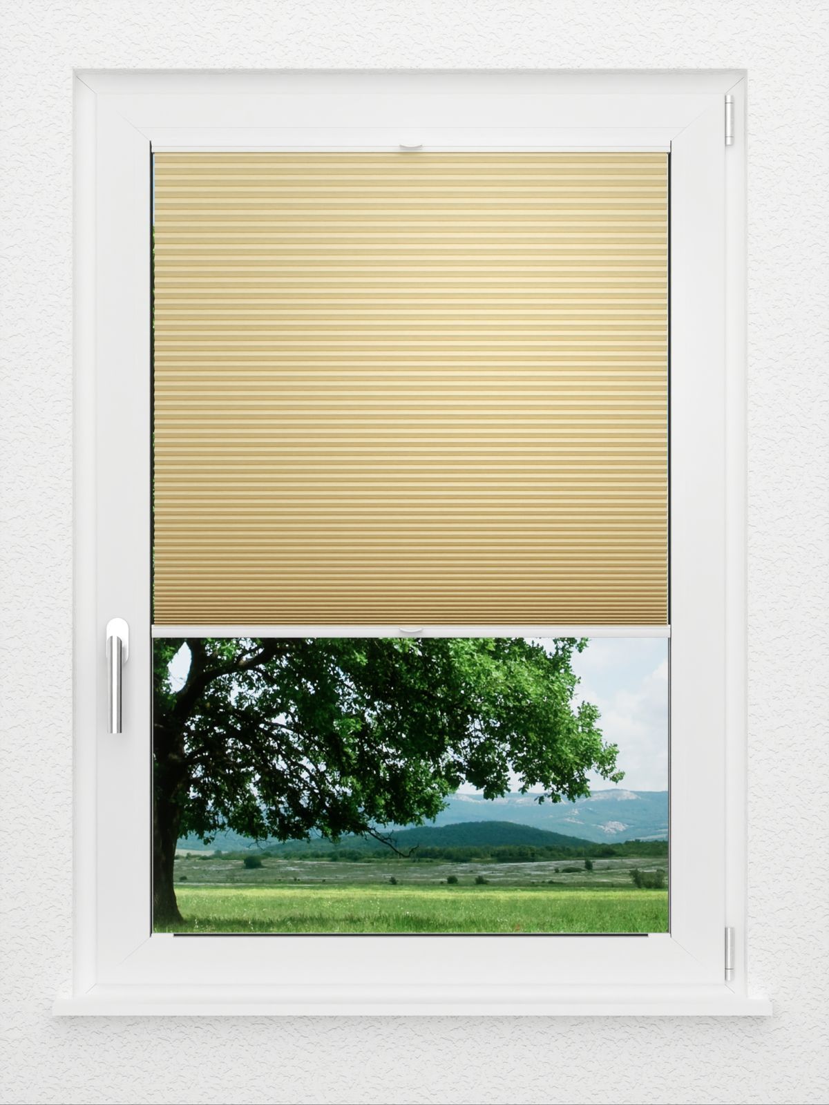 Detailansicht LYSEL HOME Plissé nid d'ab. 031A Alba LI