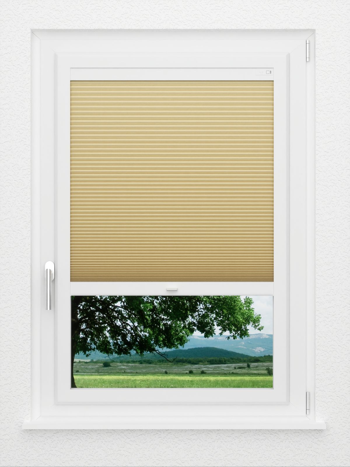 Detailansicht LYSEL HOME Plissé nid d'ab. 031A Alba LI