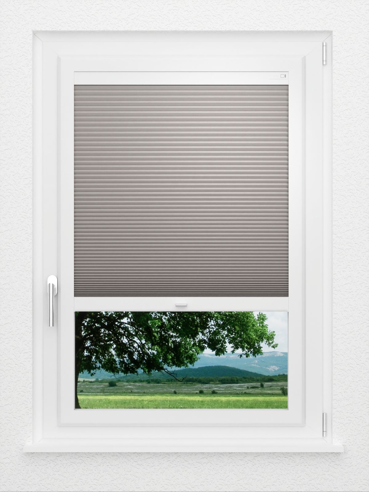 Detailansicht LYSEL HOME Plissee 038A Alba LI Wabe