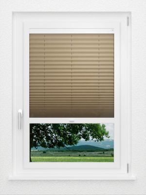 Preview LYSEL HOME Plissé 234A Aralia 1