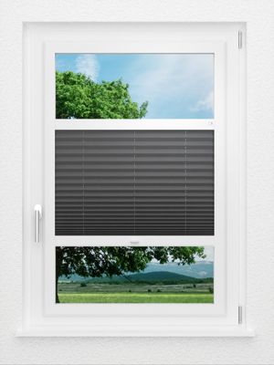 Preview LYSEL HOME Plissé 233A Aralia 0