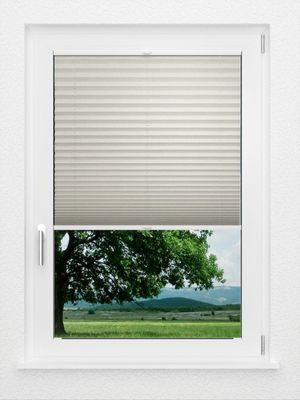 Preview LYSEL HOME Plissé 224A Betula BO 1