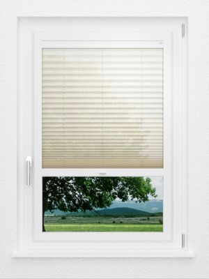 Preview LYSEL HOME Plissé 226A Calluna 1
