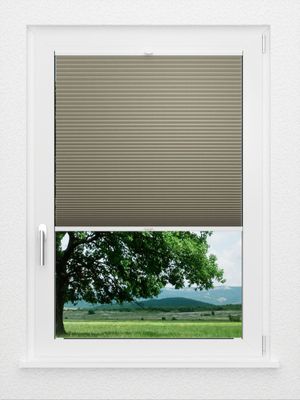 Preview LYSEL HOME Plissee 010A Calluna Wabe 1