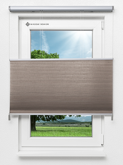 Coarse Comb LI 7307.7008 Fensteransicht