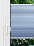 Evenly Comb LI 7205.7010 Fensteransicht
